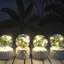 LED Plant Fairy Light Terrariums, thumbnail 3 of 4