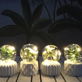 LED Plant Fairy Light Terrariums, 3 of 4