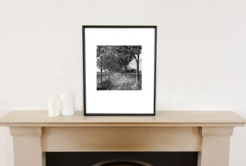 Oak Trees, Black And White, Art Print, 2 of 8