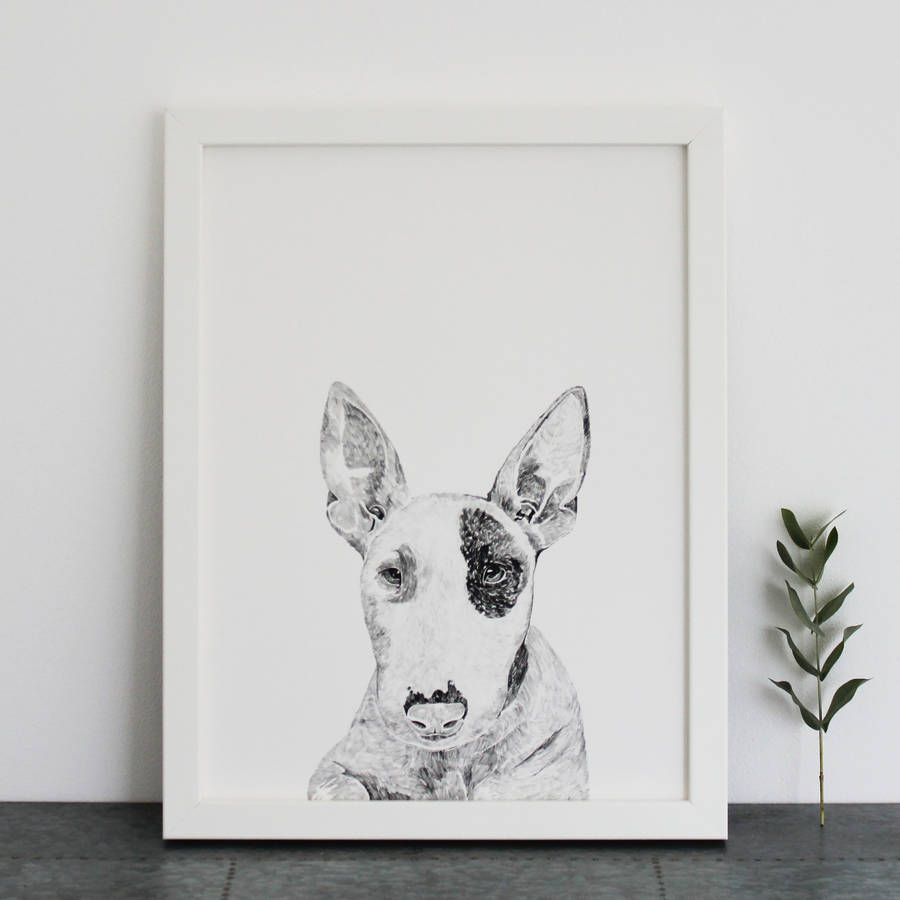 bull terrier print by ros shiers | notonthehighstreet.com