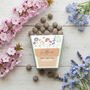 Wildflower Seed Balls Mini Gift Box, thumbnail 1 of 3