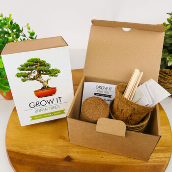 Grow Your Own Bonsai Tree Kit, 3 of 4