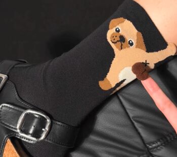 Novelty Fun Socks ~ Dogs With Balls, 5 of 9