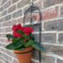 Garden Wall Planter And Flower Pot Holder Garden Decor Metal, thumbnail 8 of 9
