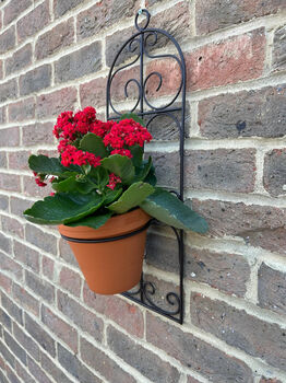 Garden Wall Planter And Flower Pot Holder Garden Decor Metal, 8 of 9