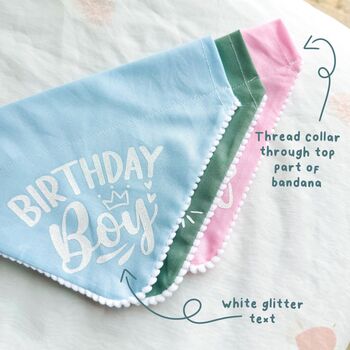 It’s My Birthday Dog Bandana, 6 of 8