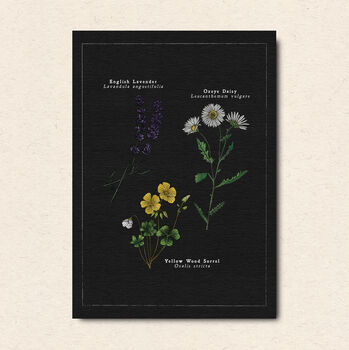Botanical Art Postcard Pack, 5 of 7