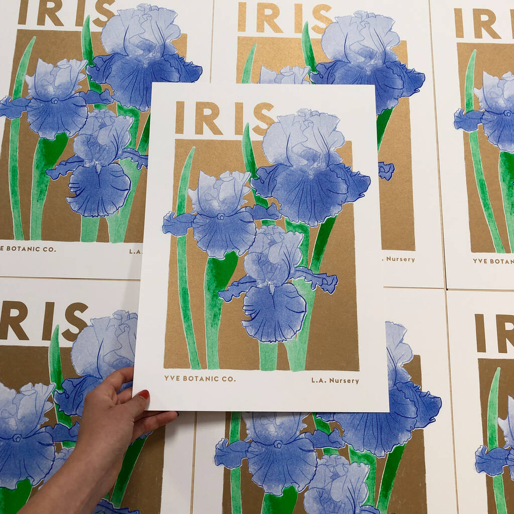Iris Floral Illustration Riso Print, 1 of 5