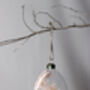 Dried Flower Glass Christmas Tree Baubles, thumbnail 4 of 6