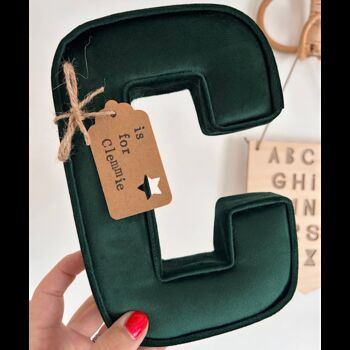 Velvet Fabric Letters, 5 of 7