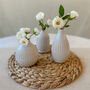 Three Ceramic Bud Vases Ivory, thumbnail 1 of 4