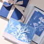 Calendar And Postcard Gift Set British Seaweed, thumbnail 2 of 6