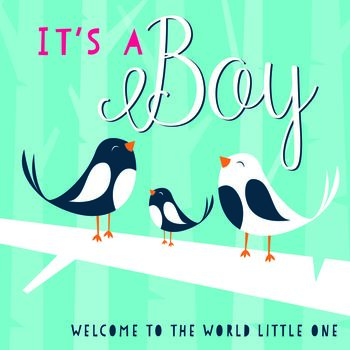 It's A Boy New Baby Card, 2 of 2