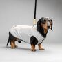 Dachshund Dog Harness Coat, thumbnail 9 of 11