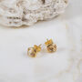 Brooklyn Citrine And Gold Plated Stud Earrings, thumbnail 1 of 4