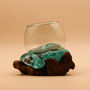Molten Glass Decorative Bowl, Fruit Bowl And Terrarium, thumbnail 7 of 9