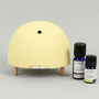 Essential Oil Mist Diffuser Gift Set, thumbnail 3 of 9