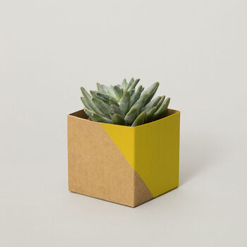 Geometric Plant Pot Cover Small, 6 of 7