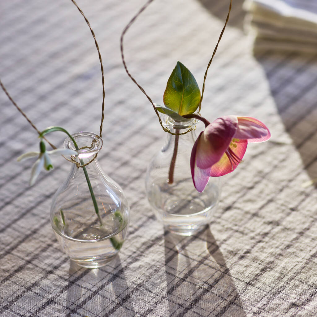 Hanging Bud Vase By Rowen & Wren