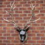 Wall Mounted Stag Head, thumbnail 2 of 4