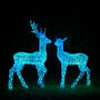 Twinkly Smart LED Acrylic Christmas Stag And Doe, thumbnail 4 of 4