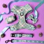 Dog Harness Set Bundle Collar Lead Set Sage Green Check, thumbnail 1 of 12