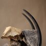 Fathers Day Forged Iron Log Store 'Long Horn' Design, thumbnail 10 of 12