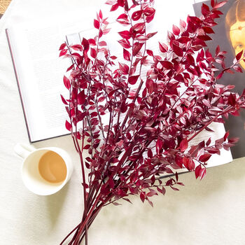 Burgundy Red Ruscus Stems, 4 of 6