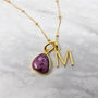 18k Gold Vermeil Plated Ruby Initial Necklace, thumbnail 1 of 9