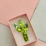 The 'Desert Sparkle' Cactus Glitter Brooch / Botanical Gift For Her /Green Succulent Brooch / Birthday Gift For Plant Lovers, thumbnail 2 of 6