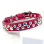 Chaos Theory Designer Dog Collar, thumbnail 5 of 7