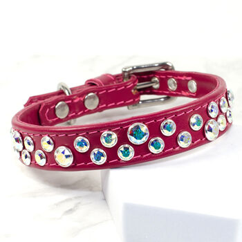 Chaos Theory Designer Dog Collar, 5 of 7