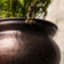 Hammered Copper Hanging Planter – Brass Chain, 17cm, thumbnail 6 of 8