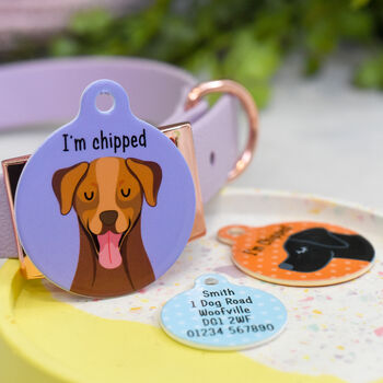 Labrador Personalised Dog ID Name Tag, 4 of 12