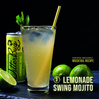'Lemonade Swing' Healthy Soft Drink Acv Seltzer Pack, 2 of 12
