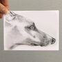 Sketch Of Your Pet, thumbnail 3 of 5