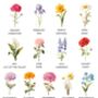 Birth Flower Grandma Print, thumbnail 3 of 8