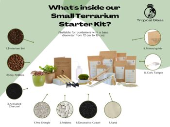 Small Diy Terrarium Kit With Optional Plants And Tools, 2 of 6