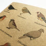 Garden Bird Notebook, thumbnail 3 of 5