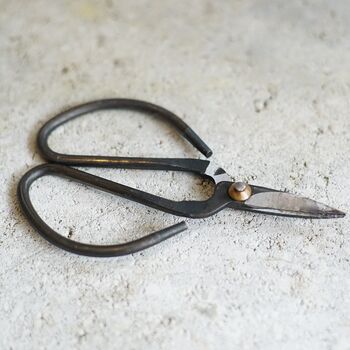 Wrought Iron Botanical Scissors, 3 of 4