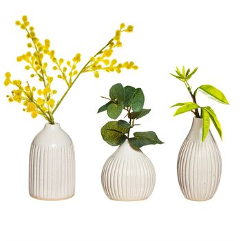 Set Of Three Grooved Bud Stoneware Vases, 3 of 4