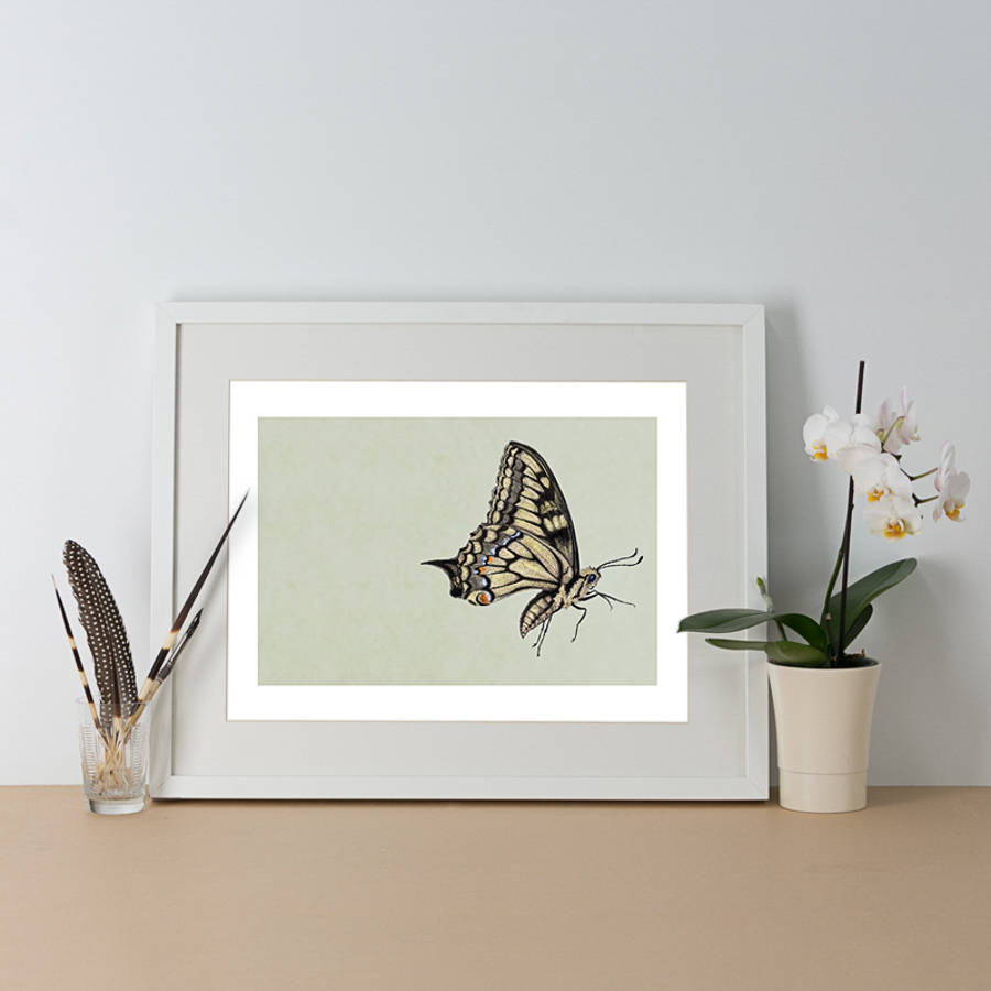 swallowtail butterfly illustration print by ben rothery illustrator ...