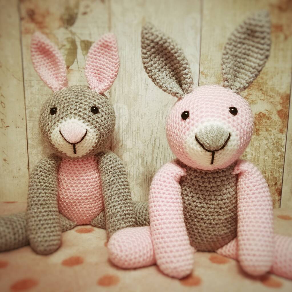 Crochet Twinning Bunny Buddies Soft Toy Set By What Katie Did Crochet ...