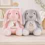 Personalised Sibling Bunny Animal Initial Gift, thumbnail 3 of 4