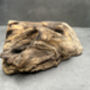 Compact 25cm Molten Glass On Wood Root Vase – Fluted Display, thumbnail 8 of 12