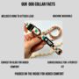 Patchwork/Plaid Dog Collar, thumbnail 2 of 6