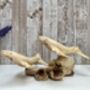Hand Carved Wooden Whale Pair Sculpture Ornament, thumbnail 11 of 12