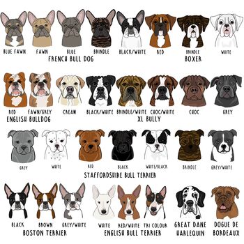 Personalised My Lush Puppy Tote Bag, 9 of 11