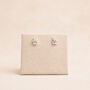 Sterling Silver Sitting Cat Stud Earrings, thumbnail 4 of 8