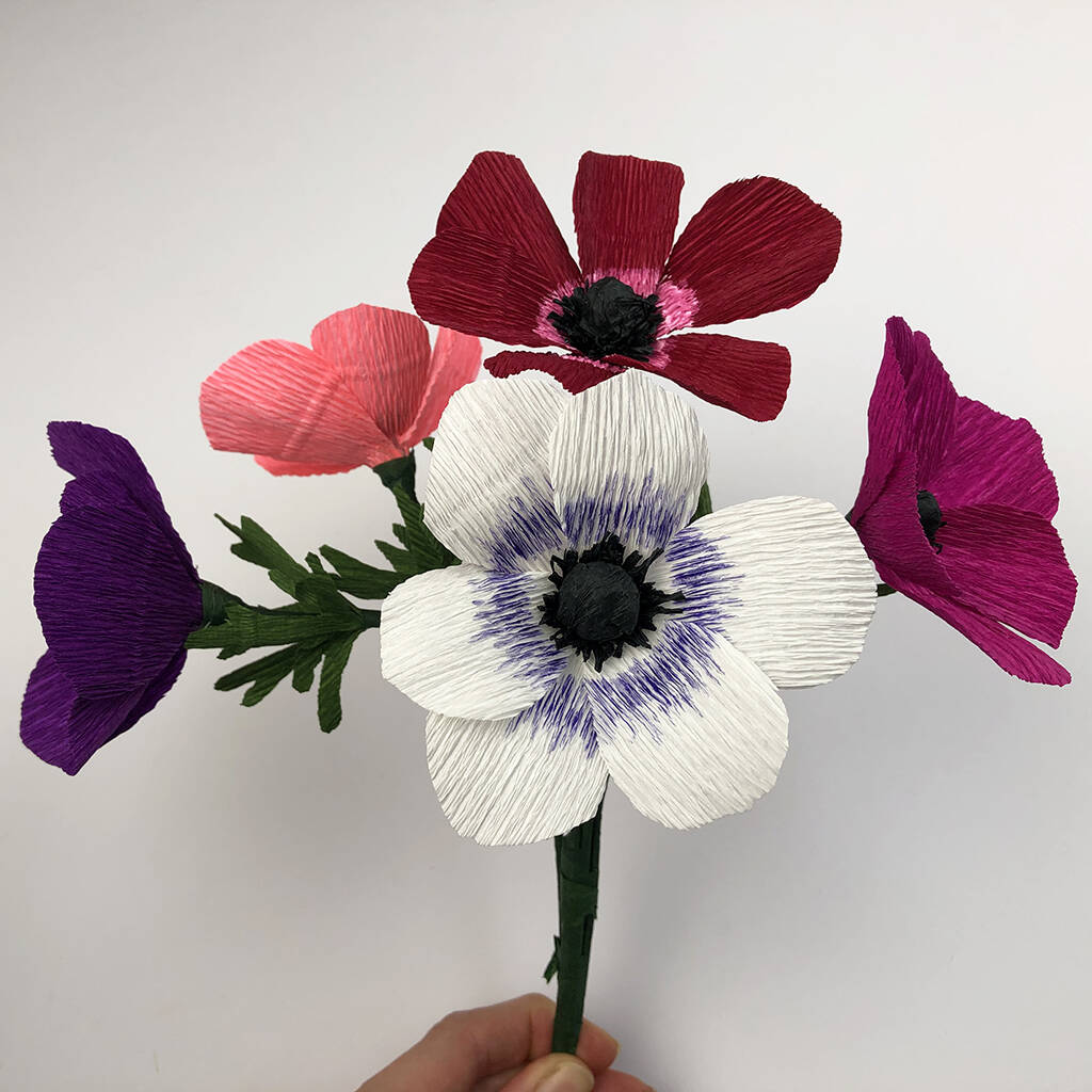 Crepe Paper Anemone Kit By Bergin & Bath
